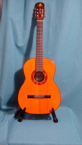 Digiorgio guarany classical - digiorgio,